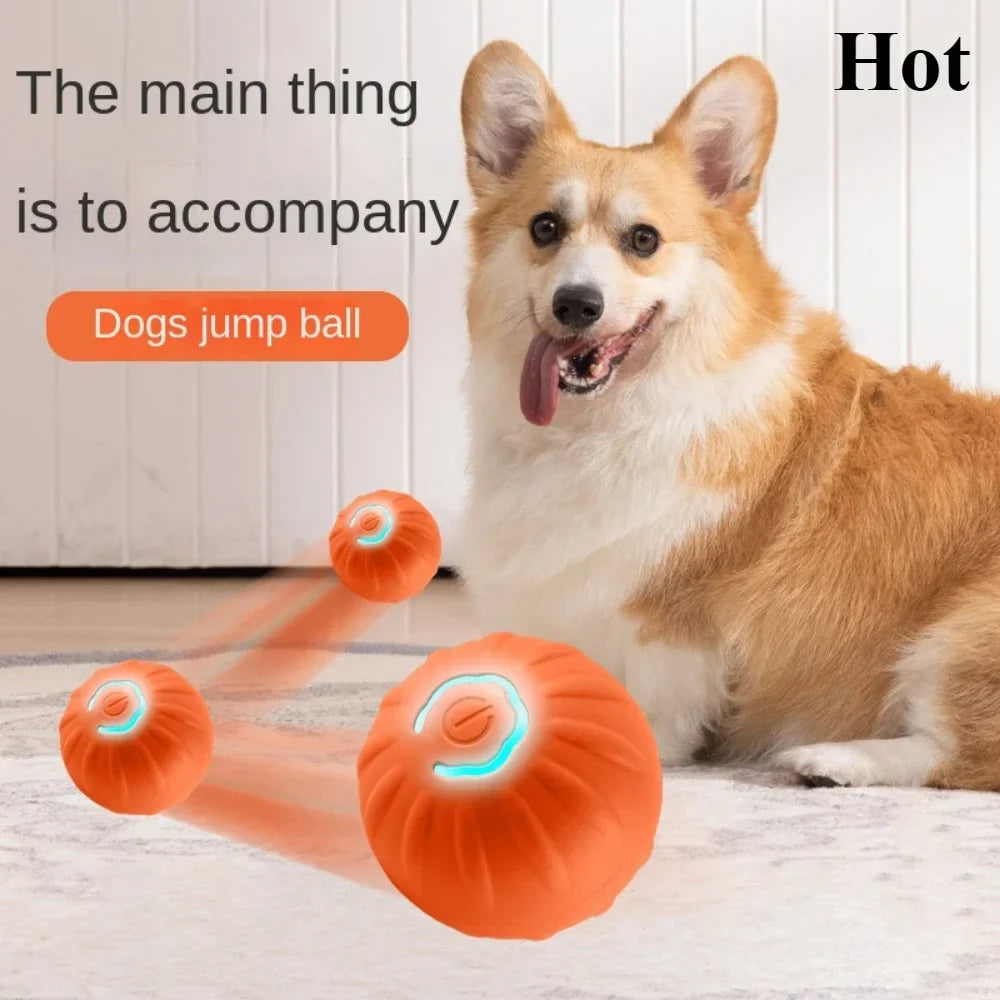 Smart Dog Toy Ball